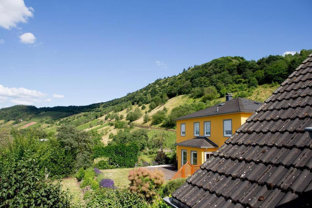 Moseltraum-villa Bei Trier Appartement Kenn